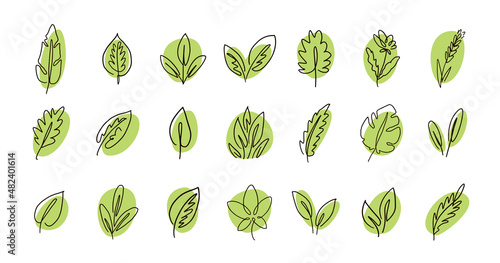 Leaves and herb icon set. Continuous line symbol for agriculture, healthy product or organic cosmetics