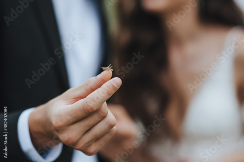 Fotografie, Obraz the bride and groom are holding a small insect in their hands, a beetle on a vei