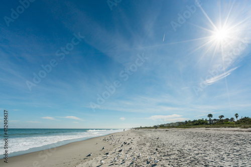 Beautiful picture with the view of Melbourne Beach in Florida with Gull birds