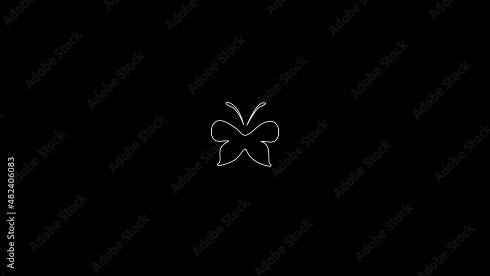 white linear butterfly silhouette. the picture appears and disappears on a black background. white linear butterfly silhouette. the picture appears and disappears on a black background.