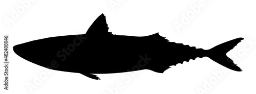 silhouette of a scomber fish vector