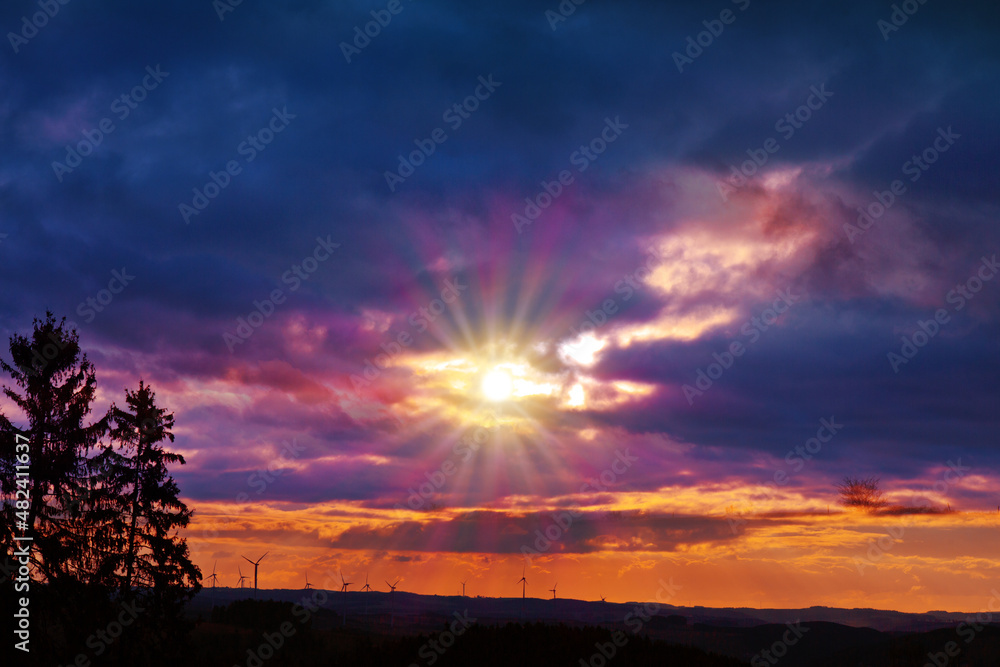 Fototapeta premium Sunset and silhouette of tree on colorful night sky.