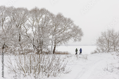 Silhouettes of people in the winter forest near frozen lake. Snowy path through forest. Cold winter panorama. Weather forecast scene. Travel freedom background copy space. Person outdoors