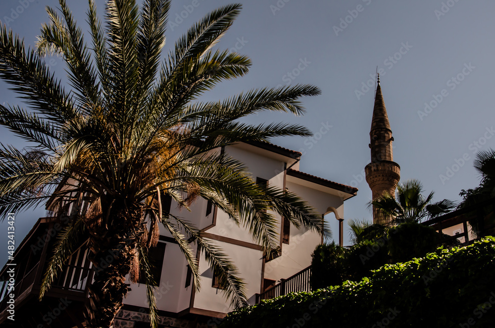 Landscapes of Turkish resort town. A palm tree grows near an old house and a minaret. Arabian architecture in harmony with nature. Holidays in Turkey with copy space.