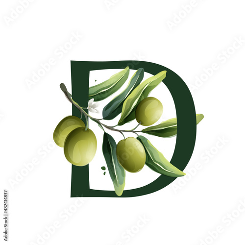D letter logo in watercolor style with olive branches.