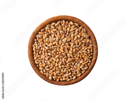 Bowl with wheat isolated on white background. Close-up. Grain wheat on white background. Whole grain wheat. Top view, image with copy space.