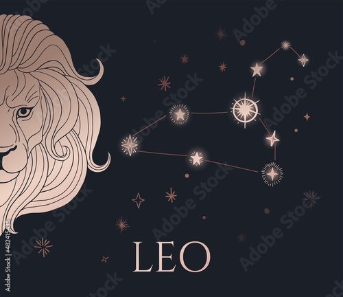 illustration of lion head, zodiac sign - leo, black and gold with stars zodiac form