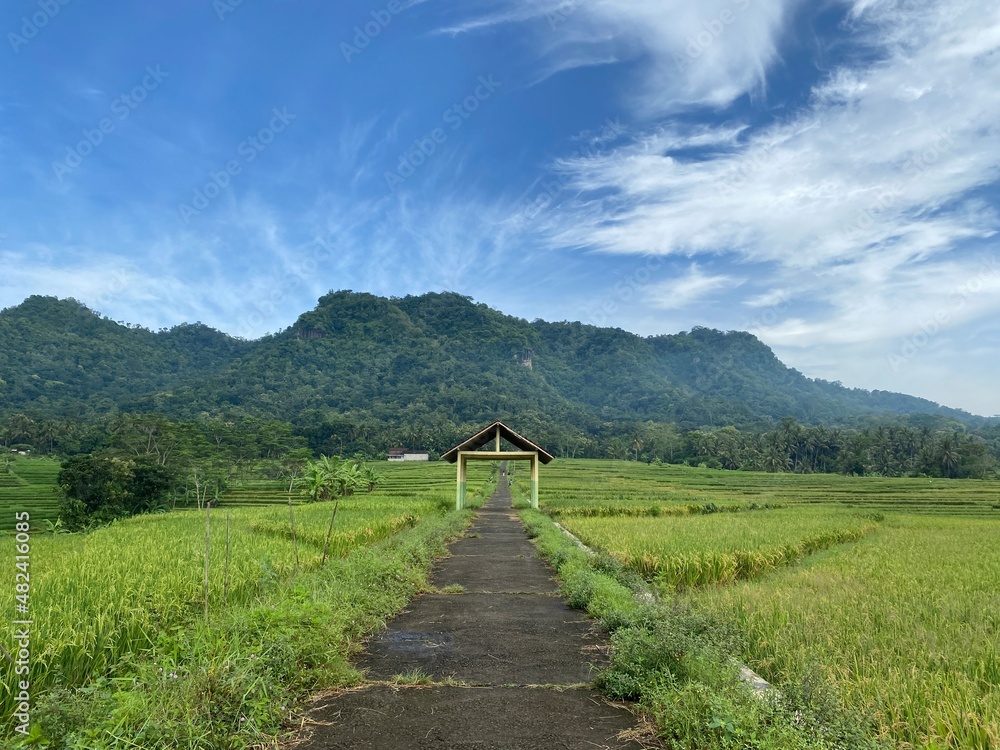 The stunning view of Nanggulan rice fields on the outskirts of Yogyakarta, Indonesia, is an attraction for rural tourism destinations. The stunning view of Nanggulan rice fields on the outskirts of Yogyakarta, Indonesia, is an attraction for rural tourism destinations.