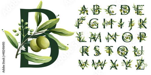Alphabet in watercolor style with olive branches.