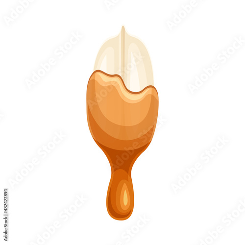 Peanut with liquid melted chocolate. Nutritious natural sweet dessert vector illustration