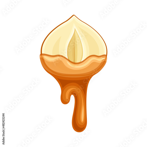 Hazelnut with liquid melted chocolate. Nutritious natural sweet dessert vector illustration
