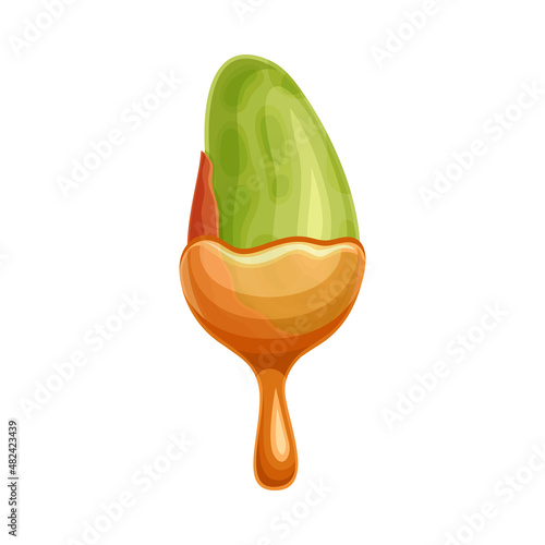 Pistachio nut with liquid melted chocolate. Nutritious natural sweet dessert vector illustration