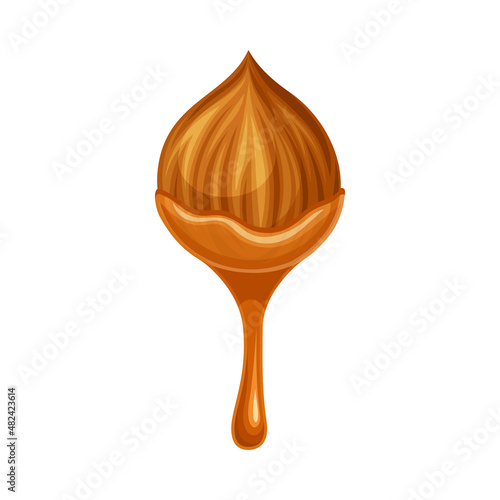 Hazelnut with liquid caramel chocolate. Nutritious natural sweet dessert vector illustration