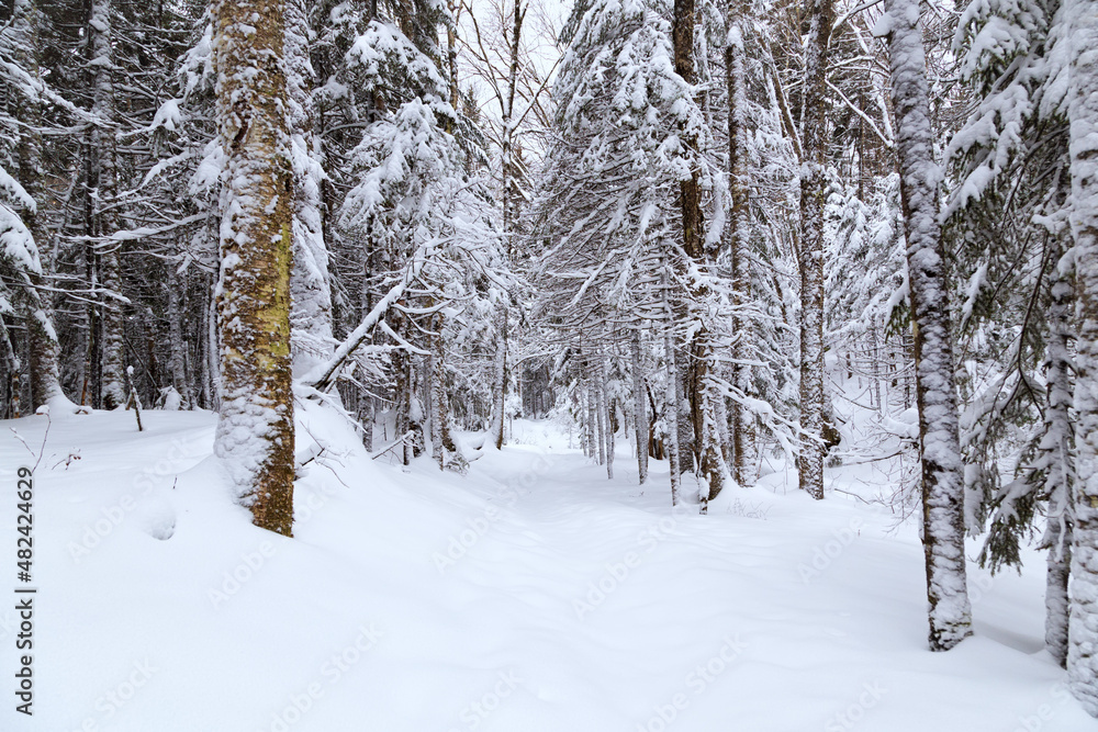 Winter in the White Mountains, New Hampshire Winter in the White Mountains, New Hampshire