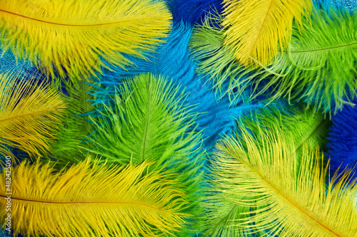 Obraz na płótnie Brazilian background from feathers in the Brazilian ethnic color