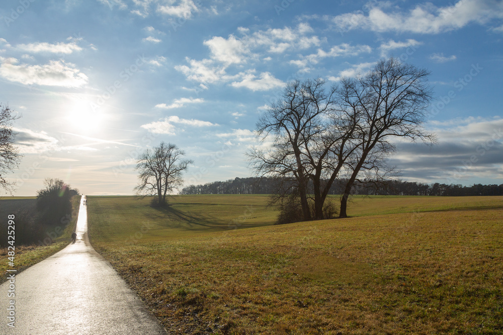 Limes Cycling Path with back light and some solitary old trees close to Watzenborn in Hessia, Germany Limes Cycling Path with back light and some solitary old trees close to Watzenborn in Hessia, Germany