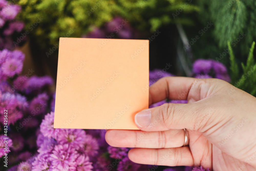 Blank note paper in hand on beautiful purple margaret flower bouquet background, copy-space on card to put your message. Blank note paper in hand on beautiful purple margaret flower bouquet background, copy-space on card to put your message.