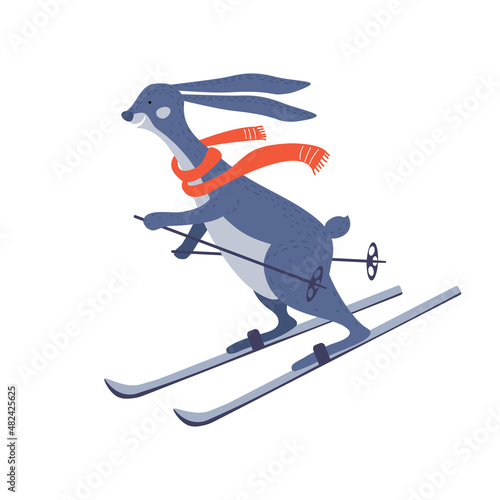 Cute hare or bunny in a red scarf is skiing down the slide isolated on a white background. Illustration for children.