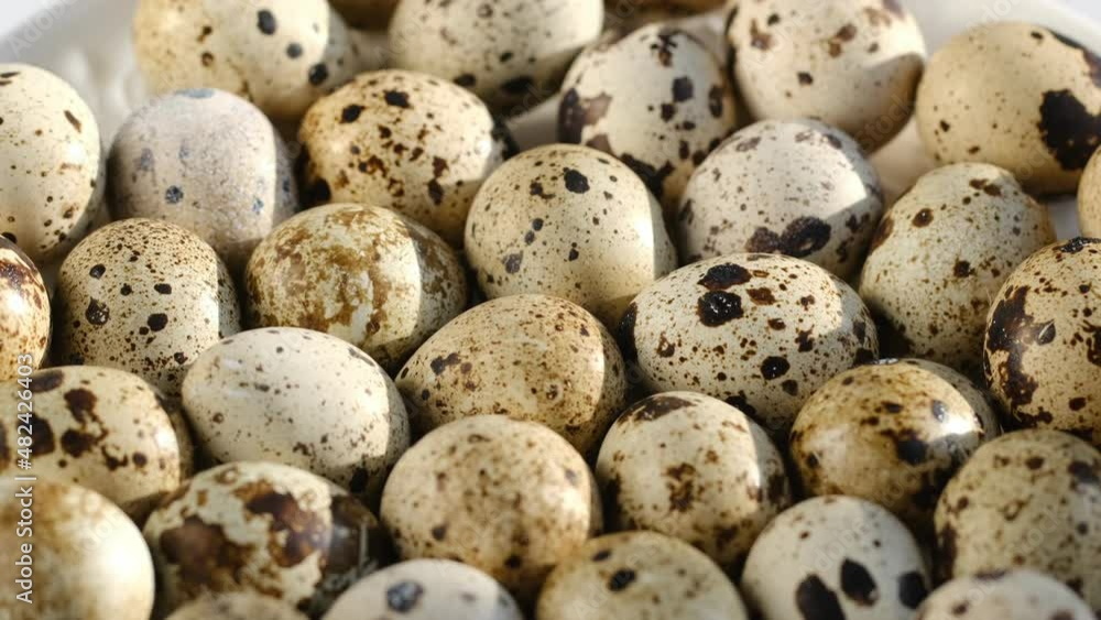 Close-up of quail eggs a rotating . Bright colorful quail eggs. Macro. Selective focus Close-up of quail eggs a rotating . Bright colorful quail eggs. Macro. Selective focus