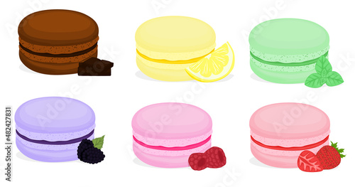set of colorful macaroon cakes. French pastry macaron. Highly detailed collection dessert, macaroon, sweets, menu design, restaurants, shop