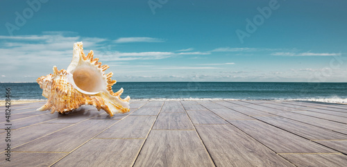 Meeresschnecke auf einer Terrasse aus Holz am Meer mit Blick zum horizont