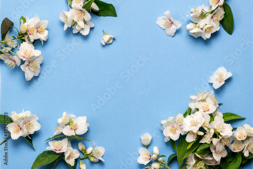 Jasmine flowers on a blue background.Floral greeting card. Flower frame.For the wedding, birthday, or other celebration.Top view.