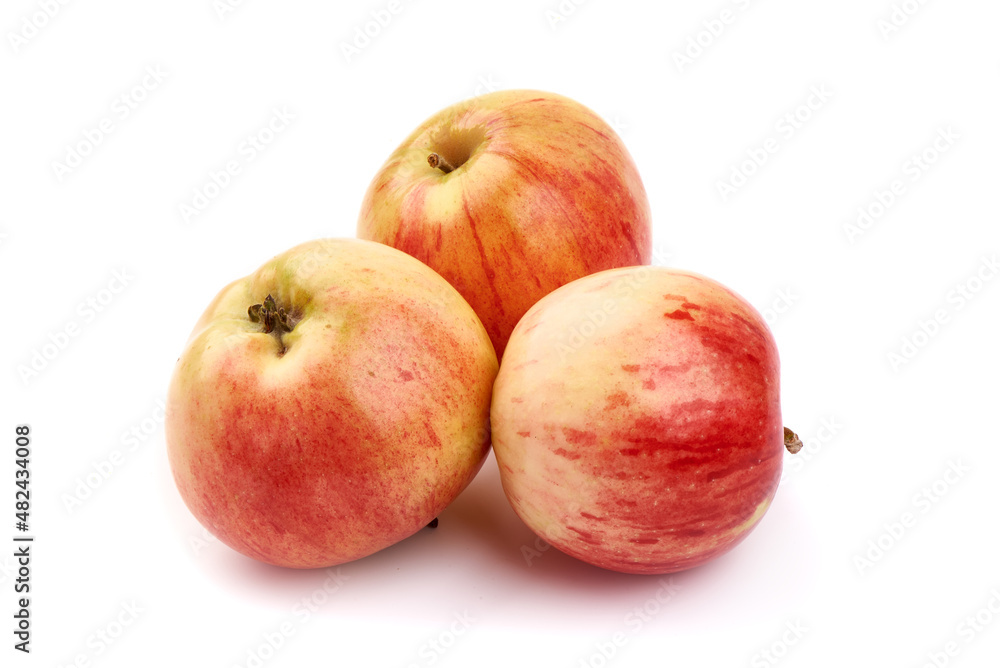 Autumn Glory apples, isolated on white background. Autumn Glory apples, isolated on white background.