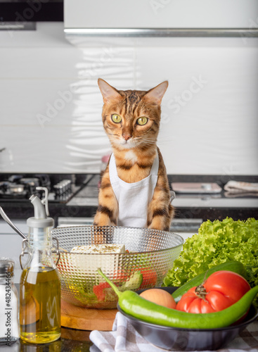 Bengal cat, Greek salad bowl, vegetables and olive oil.