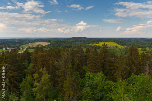 View from the observation tower built on the highest Baltic mountain Suur-Munamagi  tops of tall green spruces  summer daytime. Estonia.