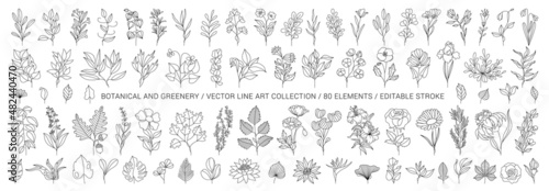 Set of hand drawn plants, leaves, flowers. Silhouettes of natural elements for seasonal backgrounds, templates, wallpaper, cards, banners. Modern design. Doodle style. Contemporary trendy vector icons