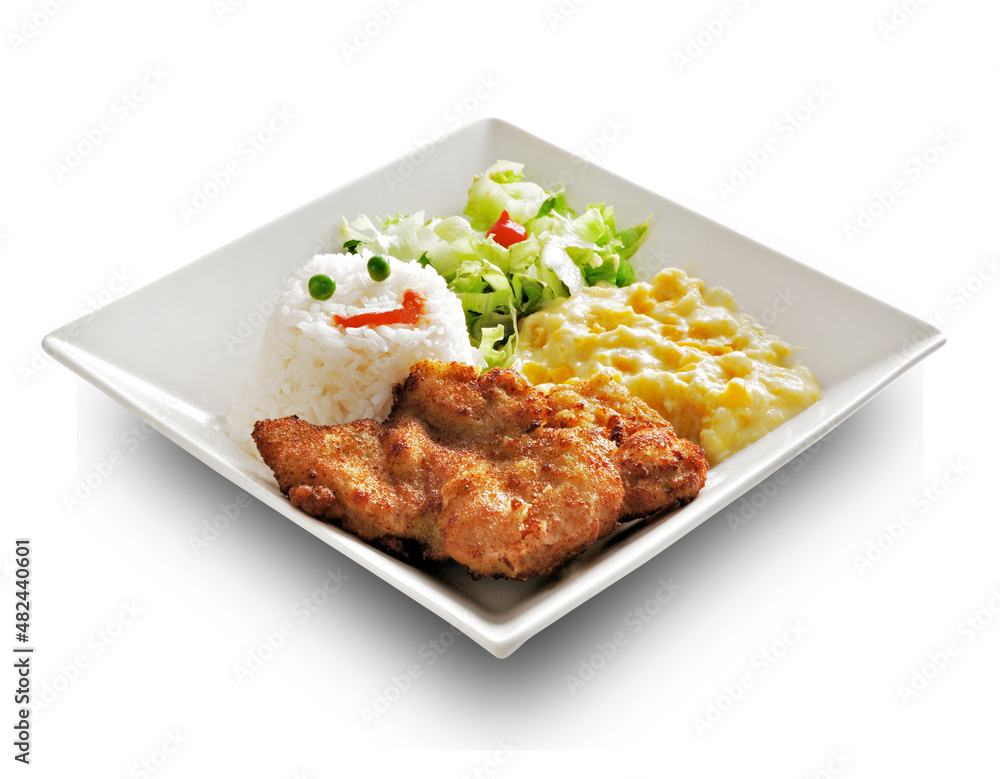 Prato de Fast Food , Prato pronto Prato de Fast Food , Prato pronto