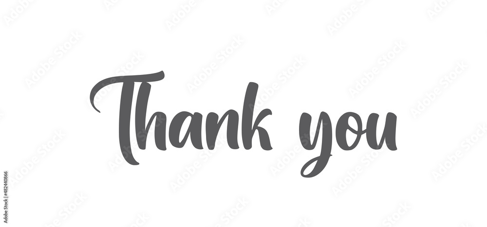 Thank you lettering. Thanks message calligraphy in modern hand drawn style font. Thank you lettering. Thanks message calligraphy in modern hand drawn style font.