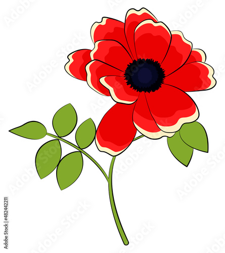 Flower vector illustration. Red camellia.