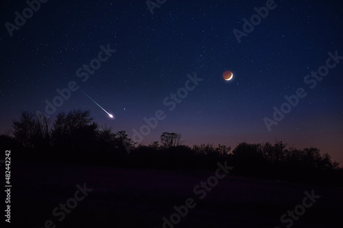 Tree silhouettes, stars, planets and Moon on evening sky.