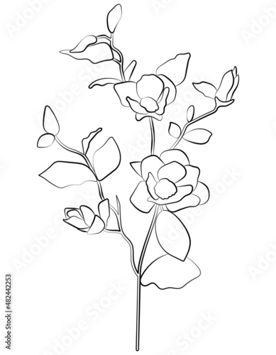 Flowers vector illustration. Line art of flowers