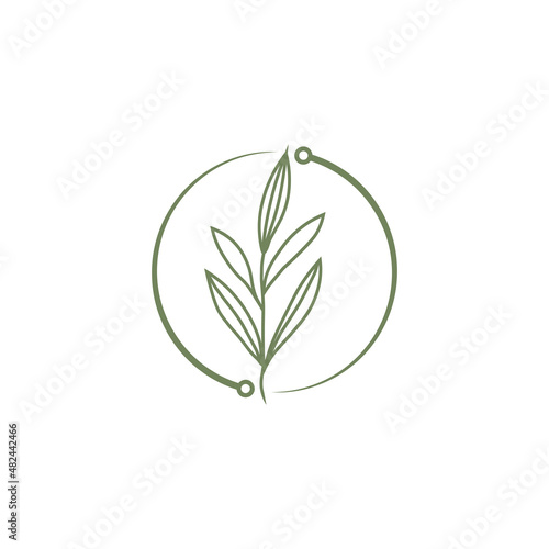 healing nature tree logo design