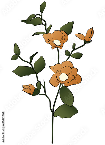 Vector illustration of beige flowers
