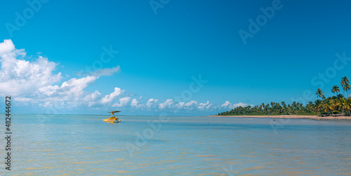 Beautiful beach with blue ocean on a clear sky day - Pernambuco - Brazil - Summer vacation
