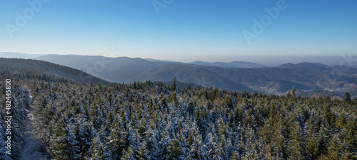 Amazing forest snow snowy trees landscape snowscape in black forest ( Schwarzwald ) winter, Germany panorama banner