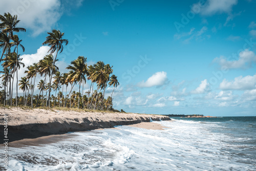 Tropical beach with coconut palm trees - Pernambuco - Brazil