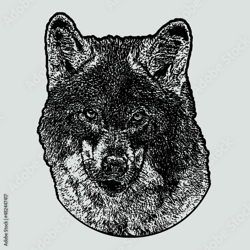Ilustración vectorial de lobo blanco y negro silueta efecto a mano minimalista tatuaje