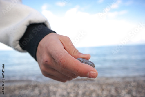 hands on the beach © Tark