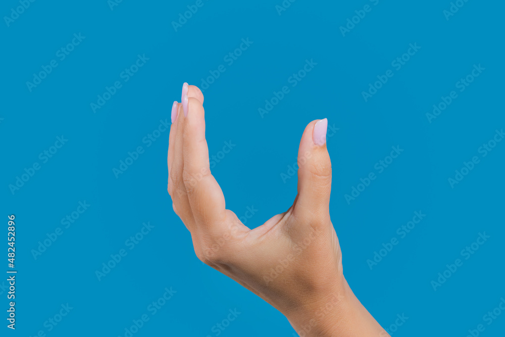 Closeup view stock photography of one manicured female hand isolated on blue background. Woman making empty gesture with her five fingers as if holding something virtual or invisible. Place for object