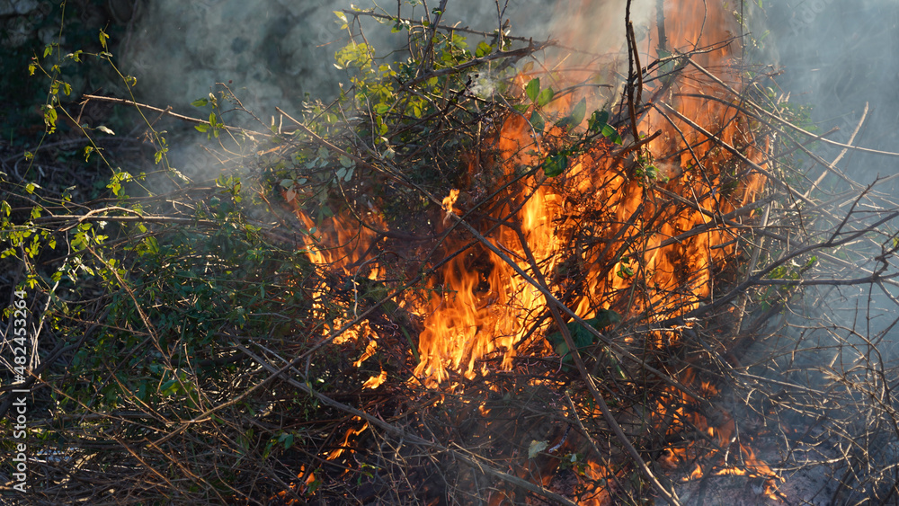Bonfire burning wood in a fire pit during a gardening clean up session near Bar, Montenegro.