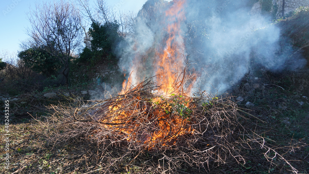 Bonfire burning wood in a fire pit during a gardening clean up session near Bar, Montenegro. Bonfire burning wood in a fire pit during a gardening clean up session near Bar, Montenegro.