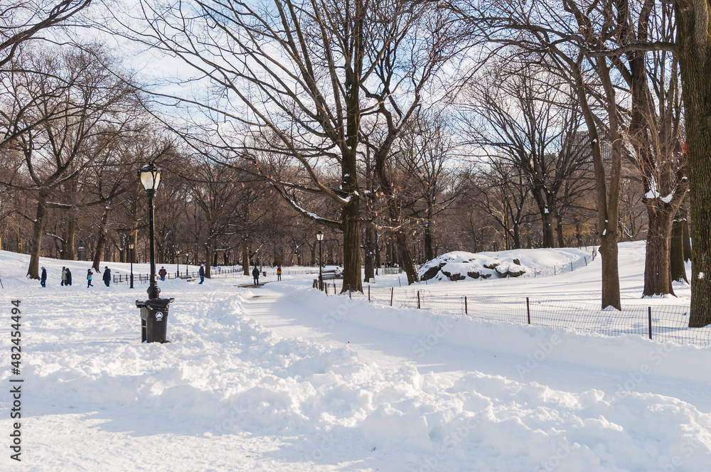 Winter in Central Park, New York, United States.