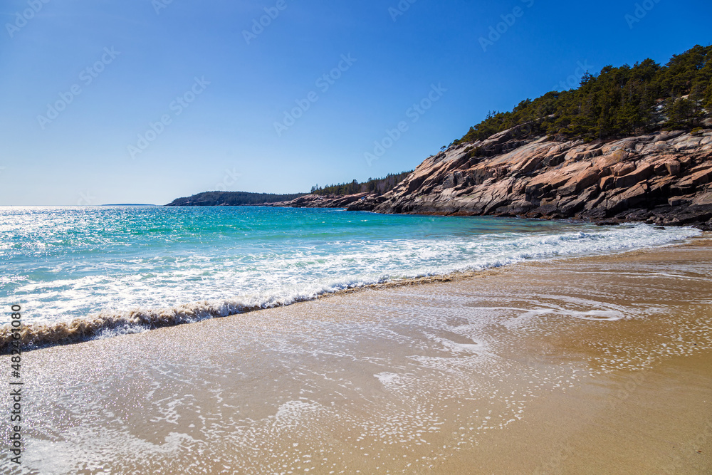 In the Edge of the Sea In the Edge of the Sea