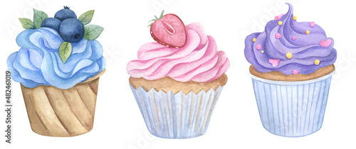 Cupcake hand drawn watercolor 