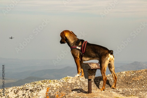 Castro Valnera, the Mountain photo