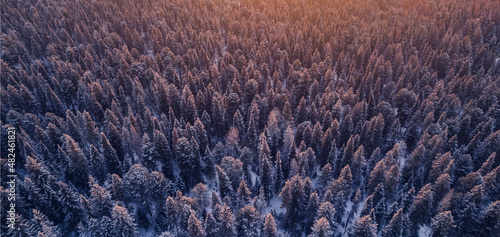 Beautiful winter mountain forest in snow, sunset evening aerial top view